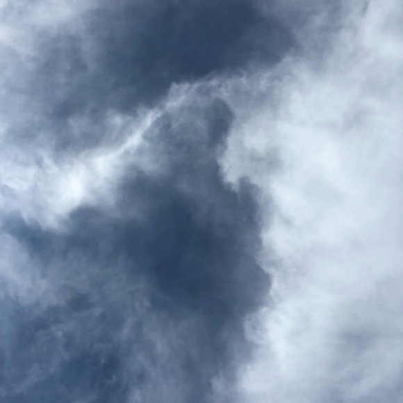 Meet your Posher, Serena - Picture 1 of 1